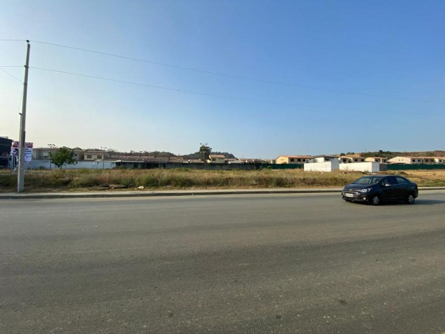 Foto Terreno en Arriendo en Daule, Guayas - U$D 11.100 - TEA41557 - BienesOnLine