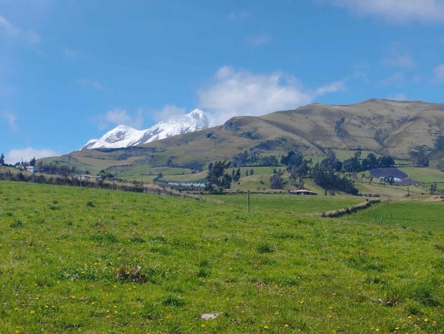 Foto Terreno en Venta en Olmedo, Comunidad La Chimba, Pichincha - 1 hectareas - U$D 100.000 - TEV37901 - BienesOnLine