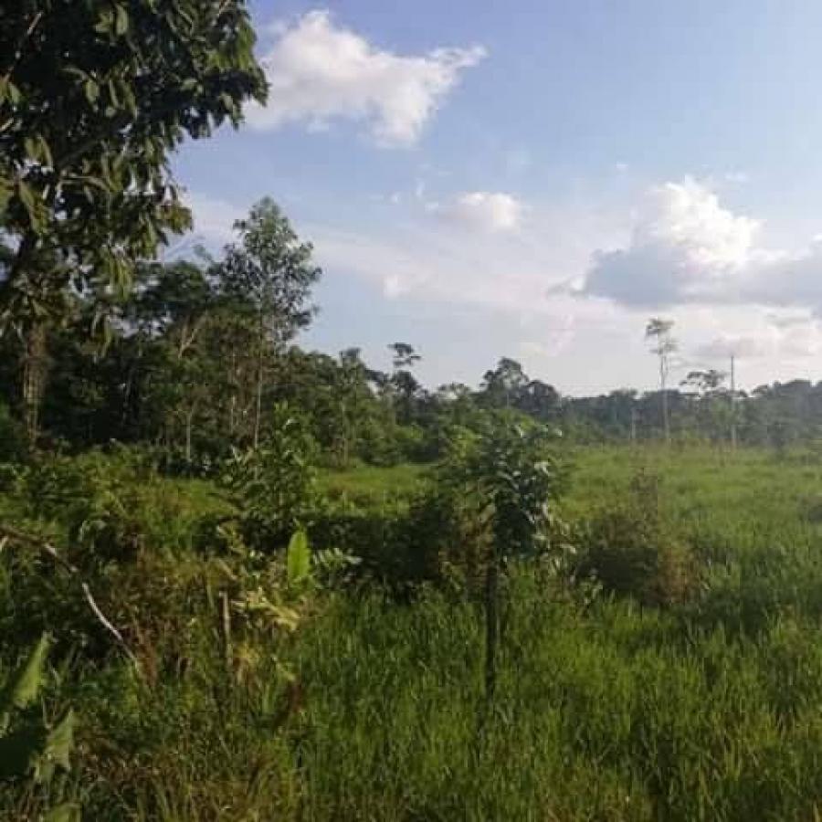 Foto Terreno en Venta en Dayuma, Francisco de Orellana, Orellana - U$D 160.000 - TEV41469 - BienesOnLine