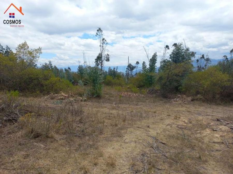 Foto Terreno en Venta en Tumbabiro, Imbabura - 11 hectareas - U$D 140.000 - TEV38244 - BienesOnLine