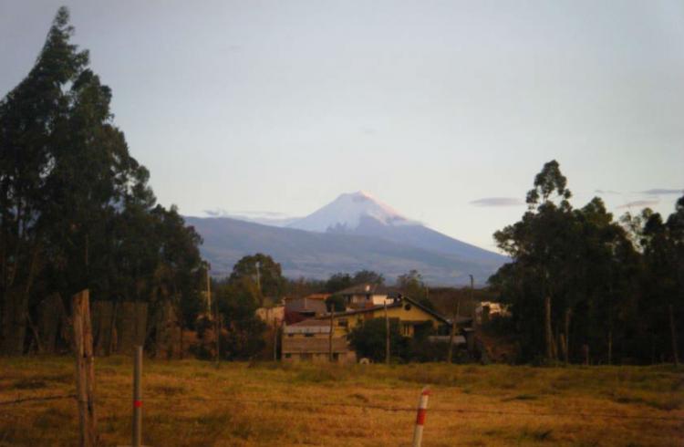 Foto Terreno en Venta en Pifo, Quito, Pichincha - 3 hectareas - U$D 100 - TEV23701 - BienesOnLine