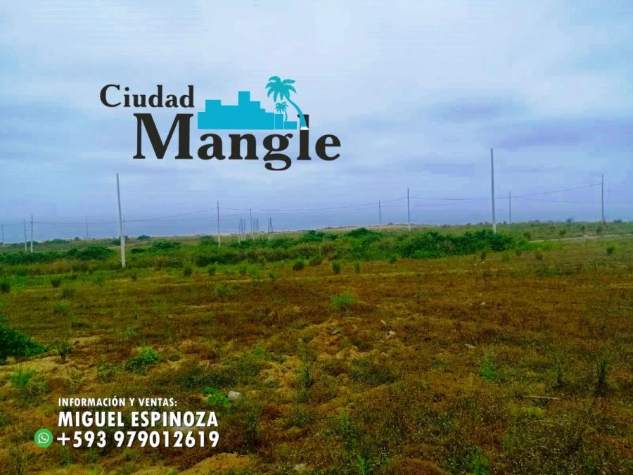 Foto Terreno en Venta en MONTECRISTI, Montecristi, Manabi - 15 hectareas - U$D 16.000 - TEV35768 - BienesOnLine