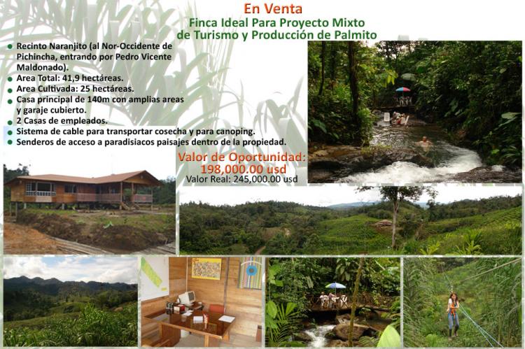 Foto Finca en Venta en Naranjito, Pedro Vicente Maldonado, Pichincha - U$D 198.000 - FIV6163 - BienesOnLine