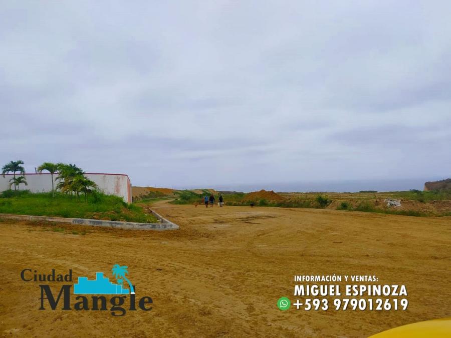 Foto Terreno en Venta en MONTECRISTI, Montecristi, Manabi - 15 hectareas - U$D 16.000 - TEV35836 - BienesOnLine