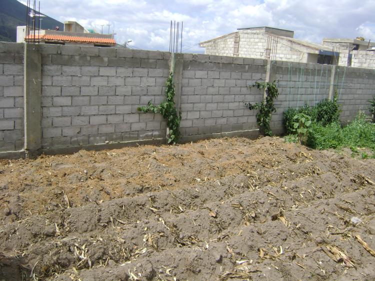 Terreno en Venta en QUITO, Quito, Pichincha UD 31.500 TEV11350