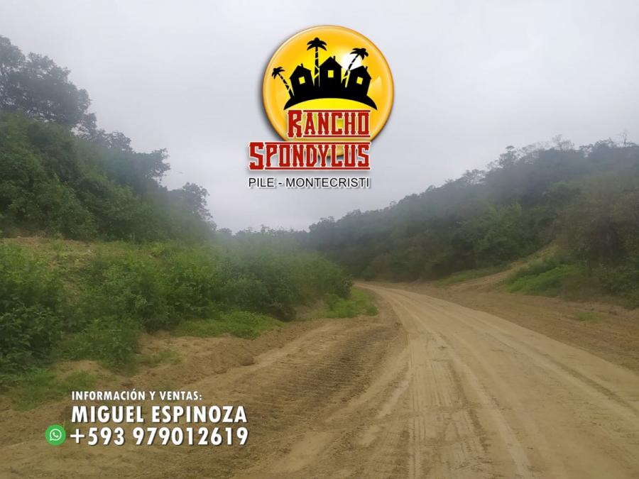 Foto Terreno en Venta en PILE, Montecristi, Manabi - 15 hectareas - U$D 9.900 - TEV35808 - BienesOnLine