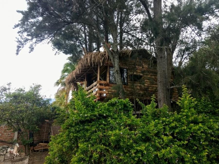 Foto Casa en Arriendo por temporada en Malacatos, km. 26 va Loja - Vilcabamba, entre los barrios La, Loja - U$D 600 - CAT36193 - BienesOnLine
