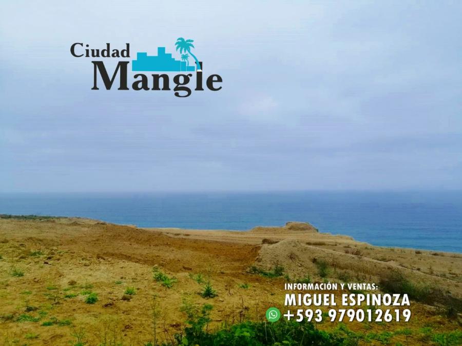 Foto Terreno en Venta en MONTECRISTI, Montecristi, Manabi - 15 hectareas - U$D 16.000 - TEV35835 - BienesOnLine