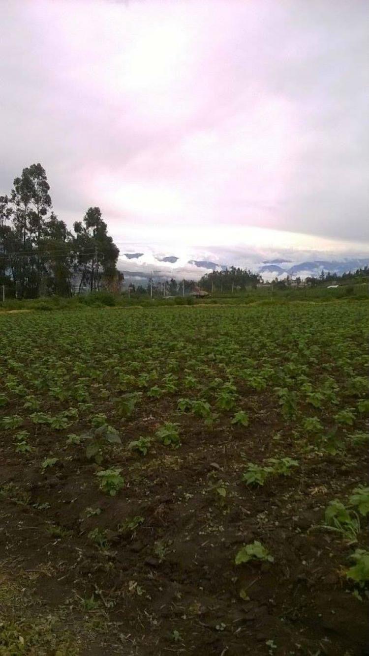 Foto Terreno en Venta en Otavalo, Imbabura - U$D 65.000 - TEV20810 - BienesOnLine