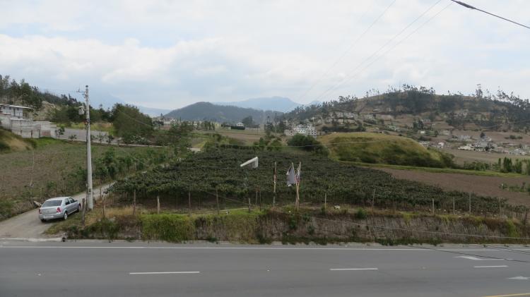 Foto Terreno en Venta en Iluman., Otavalo, Imbabura - U$D 130.000 - TEV14726 - BienesOnLine