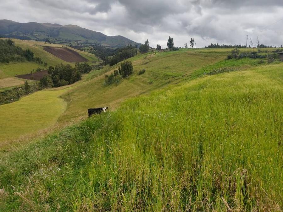 Foto Terreno en Venta en Cayambe, Pichincha - U$D 120.000 - TEV32615 - BienesOnLine