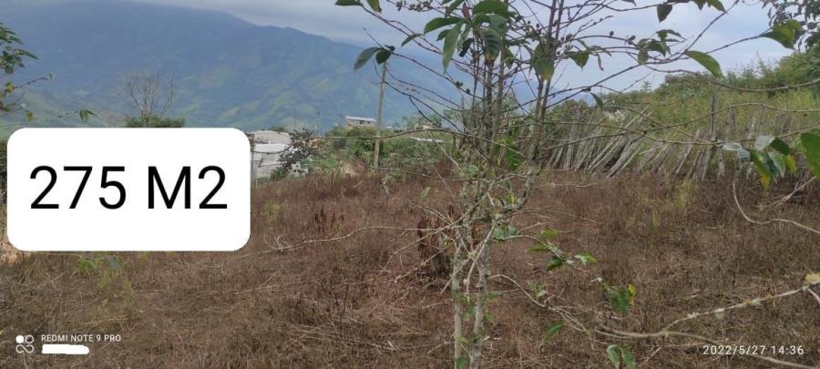 Foto Terreno en Venta en Puyango, Loja - U$D 19.550 - TEV34358 - BienesOnLine