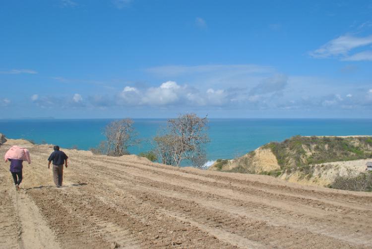 Foto Terreno en Venta en Montecristi, Manabi - TEV8480 - BienesOnLine