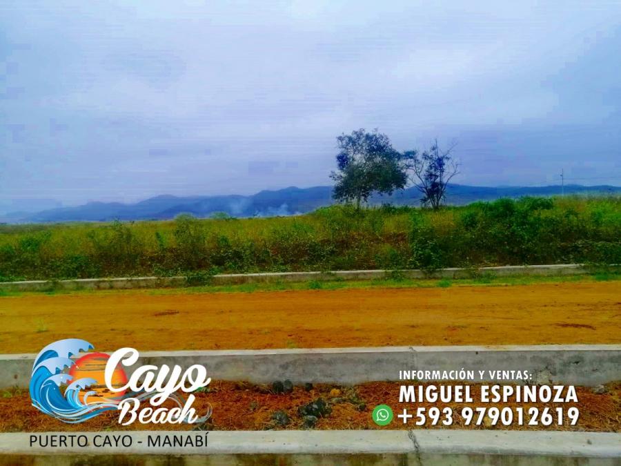 Foto Terreno en Venta en PUERTO CAYO, Jipijapa, Manabi - 15 hectareas - U$D 5.200 - TEV35882 - BienesOnLine