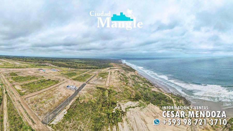 Foto Terreno en Venta en DOS CRUCES, Montecristi, Manabi - U$D 16.000 - TEV30086 - BienesOnLine