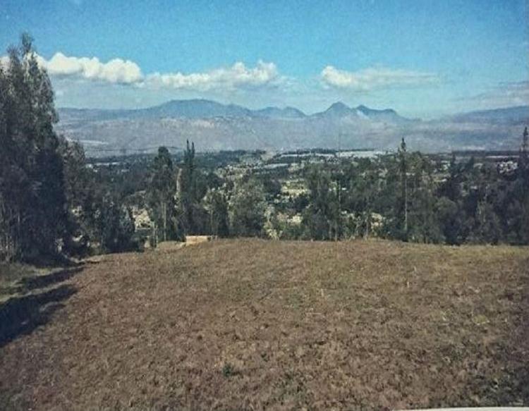 Foto Terreno en Venta en Cayambe, Pichincha - 3 hectareas - U$D 200.000 - TEV24511 - BienesOnLine