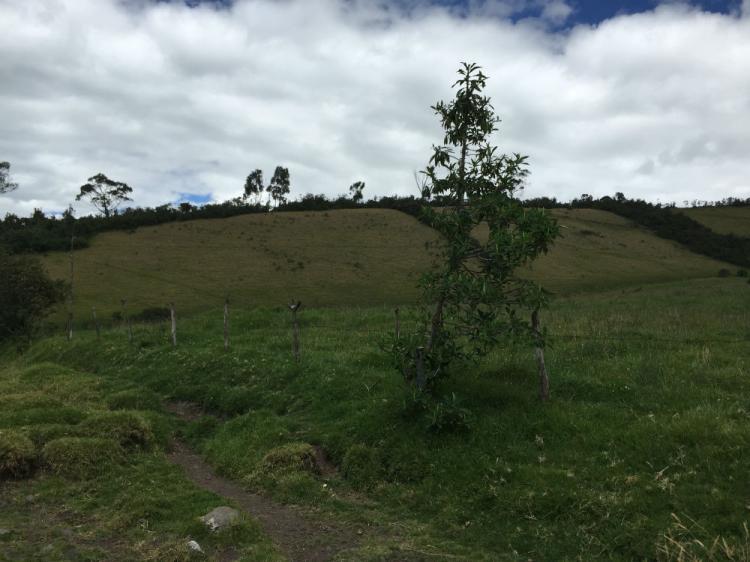 Foto Terreno en Venta en Cutuglagua, Quito, Pichincha - 240 hectareas - U$D 24.000.000 - TEV22829 - BienesOnLine
