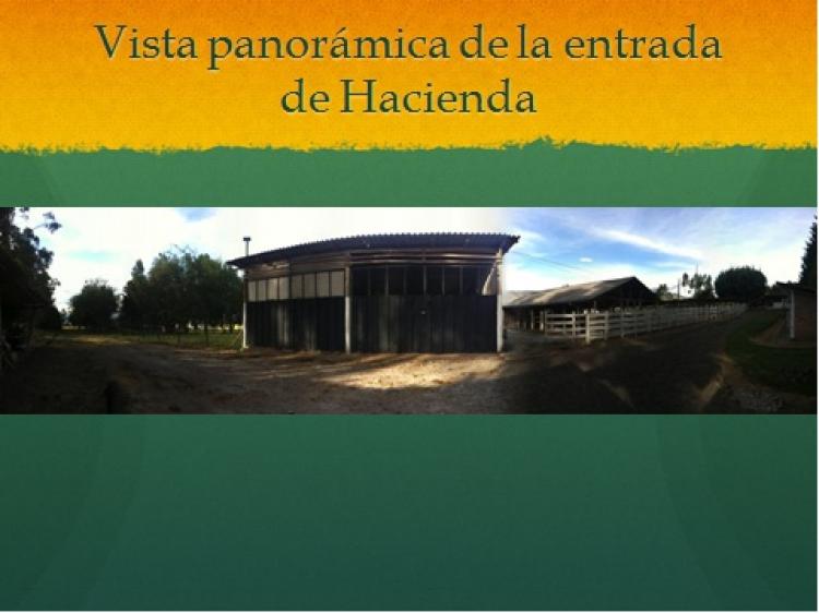 Foto Hacienda en Venta en San Francisco de Jijn, Rumiahui, Pichincha - U$D 1.500.000 - HAV10202 - BienesOnLine