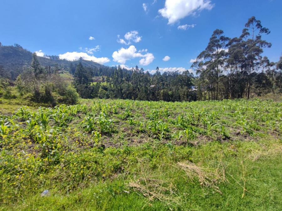 Foto Terreno en Venta en PACCHA, Cuenca, Azuay - U$D 87.000 - TEV39071 - BienesOnLine