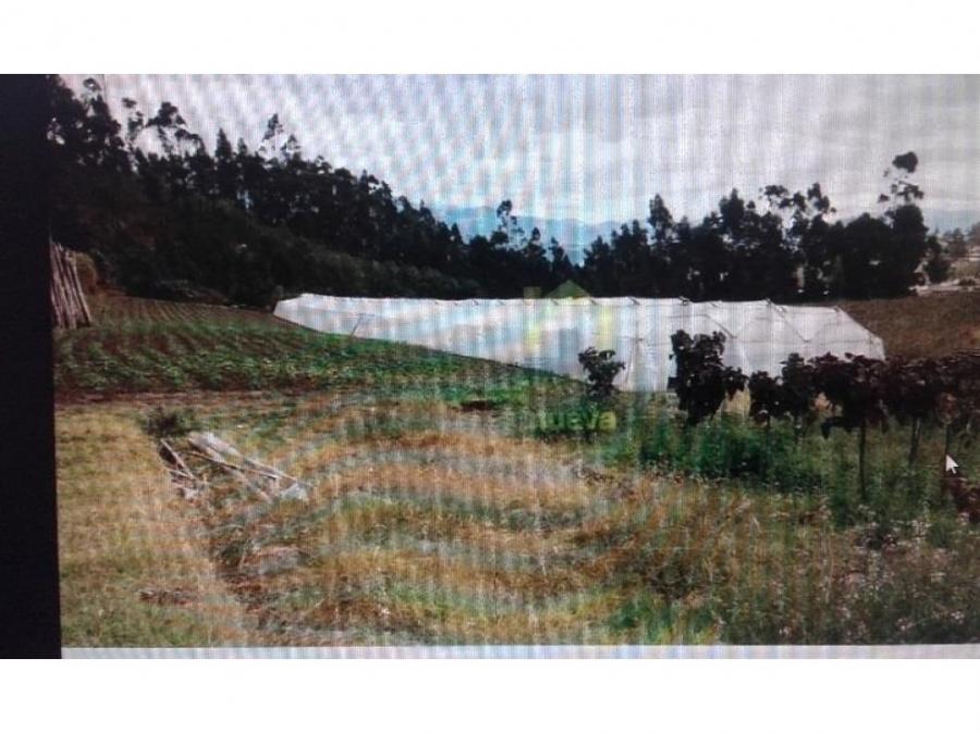 Foto Finca en Venta en Atuntaqui, Antonio Ante, Imbabura - U$D 320.000 - FIV32609 - BienesOnLine