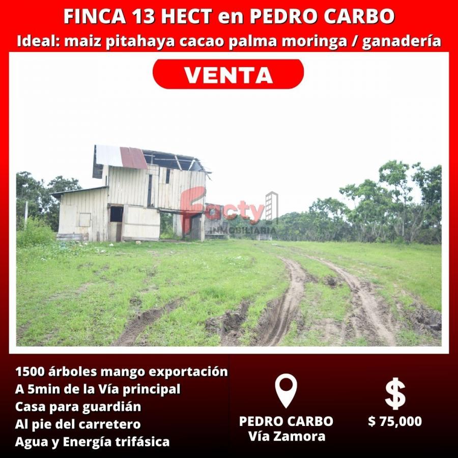 Foto Finca en Venta en Pedro Carbo, Guayas - 13 hectareas - U$D 75.000 - FIV37127 - BienesOnLine