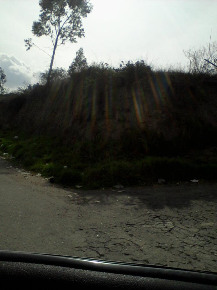 Home in Metric Way