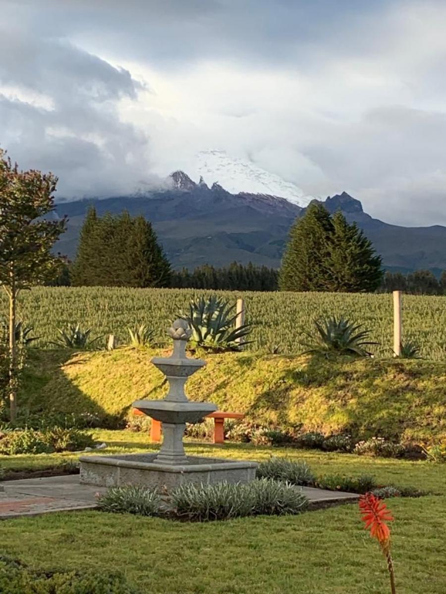 Foto Hacienda en Venta en Mulalo, Latacunga, Cotopaxi - U$D 1.500.000 - HAV29862 - BienesOnLine