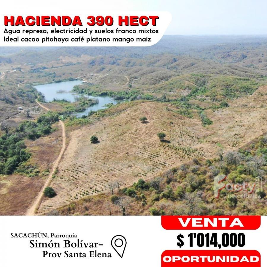 Foto Hacienda en Venta en Julio Moreno (Simn Bolvar), Va a la Costa, Santa Elena - 390 hectareas - U$D 1.014.000 - HAV38016 - BienesOnLine
