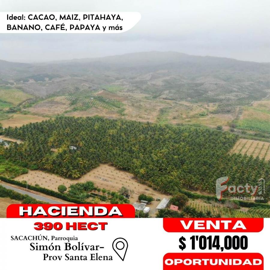 Foto Hacienda en Venta en Parroquia Simon Bolivar, Santa Elena, Santa Elena - 390 hectareas - U$D 1.014.000 - HAV39623 - BienesOnLine
