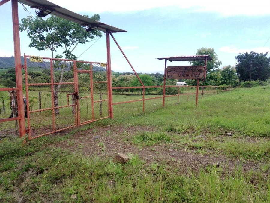 Foto Hacienda en Venta en , Manabi - 80 hectareas - U$D 560.000 - HAV34982 - BienesOnLine