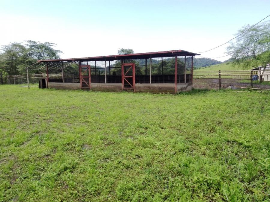 Foto Hacienda en Venta en Via la cadena km 90 guayaquil, Manabi - 80 hectareas - U$D 7.000 - HAV34044 - BienesOnLine
