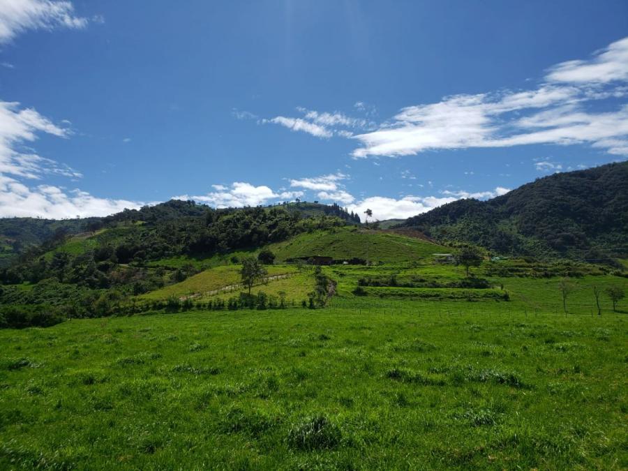 Foto Hacienda en Venta en Cayambe, Pichincha - U$D 1.500.000 - HAV32196 - BienesOnLine