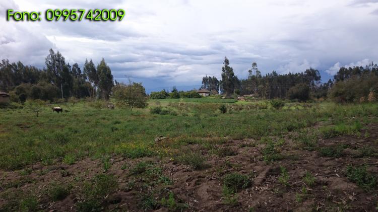 Foto Terreno en Venta en Mocha, Tungurahua - U$D 50.000 - TEV25608 - BienesOnLine