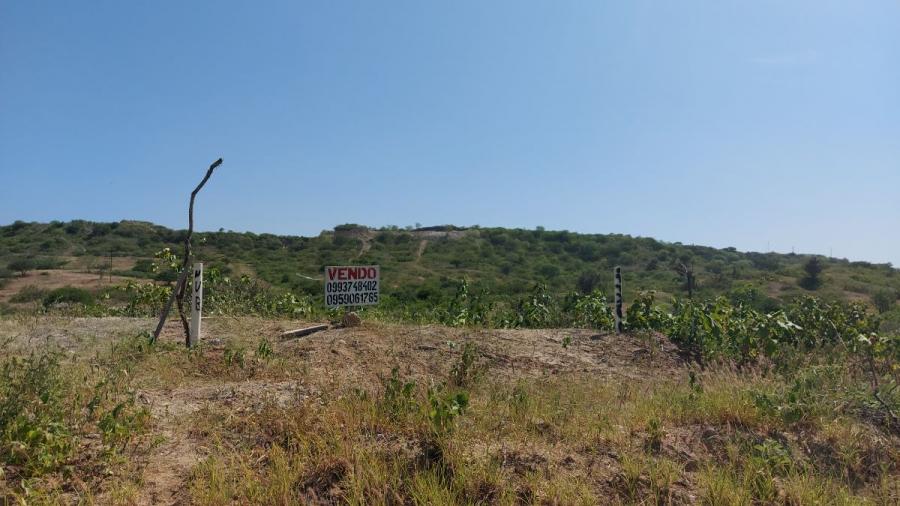 Foto Terreno en Venta en Santa Elena, Santa Elena - U$D 14.000 - TEV34632 - BienesOnLine