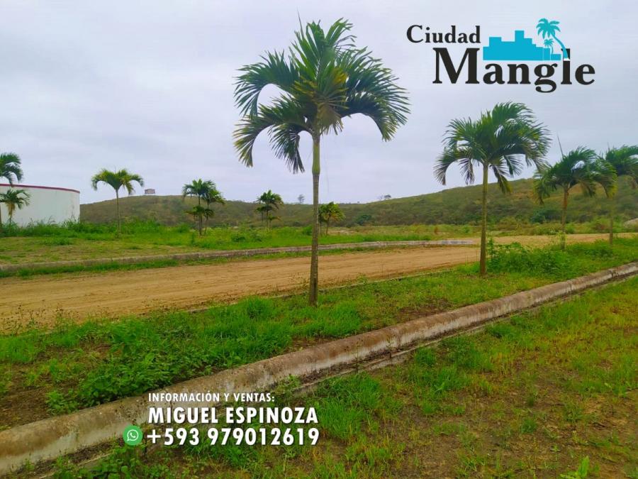 Foto Terreno en Venta en MONTECRISTI, Montecristi, Manabi - 15 hectareas - U$D 16.000 - TEV35841 - BienesOnLine