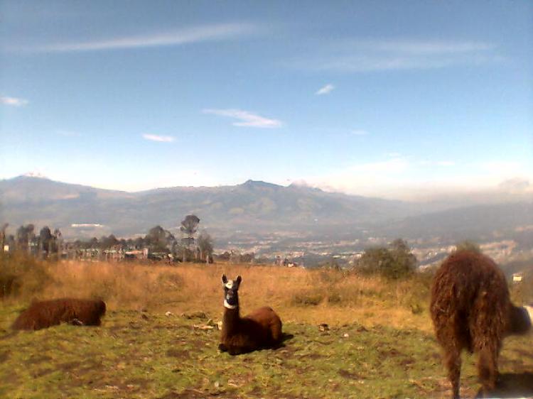 Foto Terreno en Venta en Loma de Monjas, Quito, Pichincha - U$D 237.600 - TEV8374 - BienesOnLine