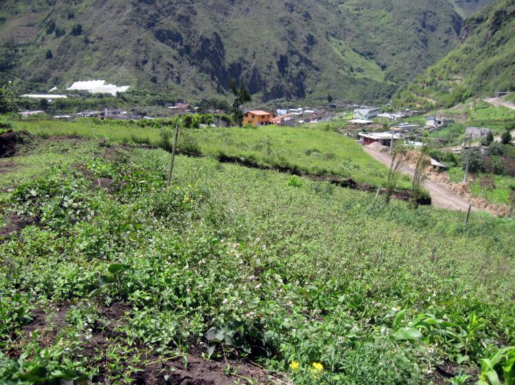 Foto Terreno en Venta en Ulba, Baos, Tungurahua - U$D 12.480 - TEV10284 - BienesOnLine