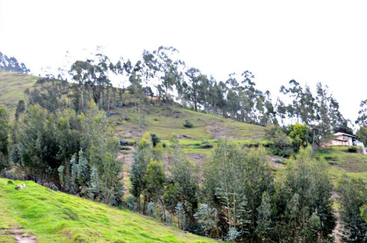 Foto Terreno en Venta en Quito, Pichincha - 5 hectareas - TEV12604 - BienesOnLine