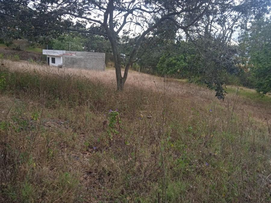 Foto Terreno en Venta en Nayn, Nayon, Pichincha - U$D 85.000 - TEV38159 - BienesOnLine