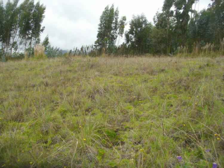 Foto Terreno en Venta en Ambato, Tungurahua - U$D 26.000 - TEV15731 - BienesOnLine