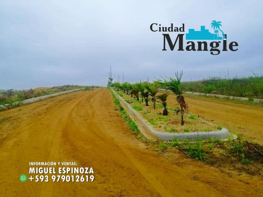 Foto Terreno en Venta en MONTECRISTI, Montecristi, Manabi - 15 hectareas - U$D 16.000 - TEV35695 - BienesOnLine