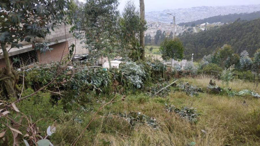 Foto Terreno en Venta en Delicia, Roldos, Pichincha - U$D 9.000 - TEV34454 - BienesOnLine