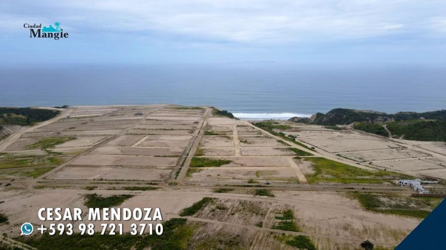 Foto Terreno en Venta en LOS CRUCES, Montecristi, Manabi - 52 hectareas - U$D 16.000 - TEV28424 - BienesOnLine