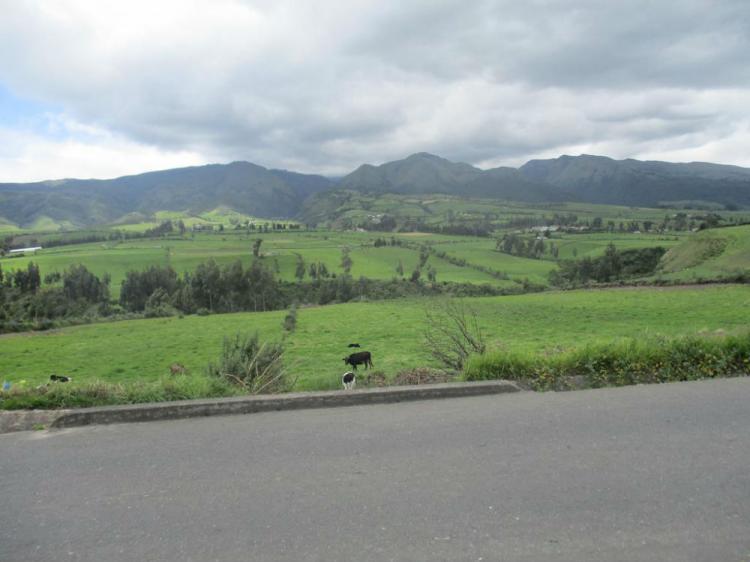 Foto Terreno en Venta en Olmedo, Cayambe, Pichincha - 1 hectareas - U$D 90.000 - TEV22160 - BienesOnLine