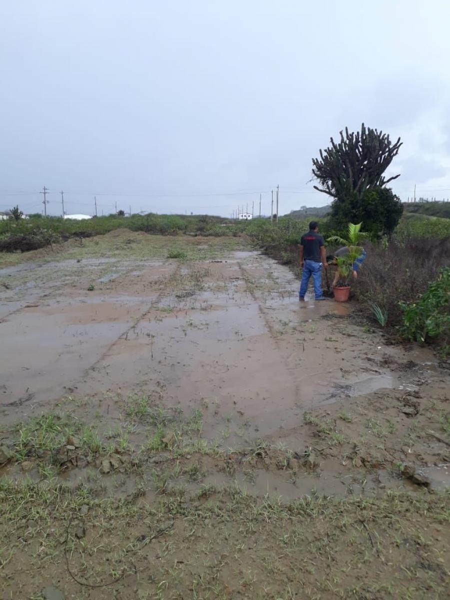 Foto Terreno en Venta en Santa Elena, Santa Elena, Santa Elena - U$D 12.000 - TEV36826 - BienesOnLine
