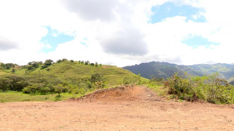 Foto Terreno en Venta en El Tambo, Catamayo, Loja - 49 hectareas - U$D 196.000 - TEV18492 - BienesOnLine