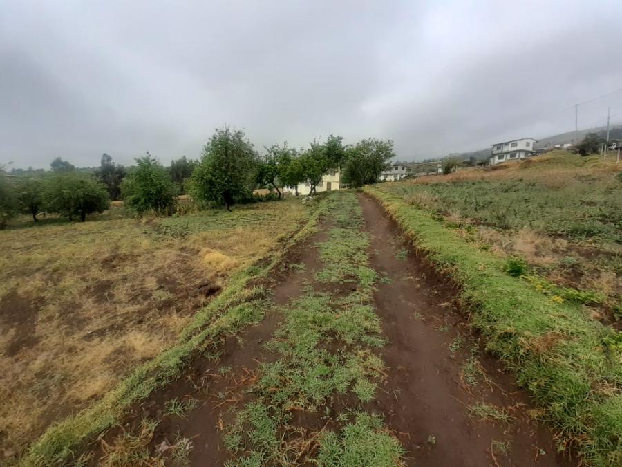 Foto Terreno en Venta en Samanga, Ambato, Tungurahua - U$D 135.000 - TEV36094 - BienesOnLine