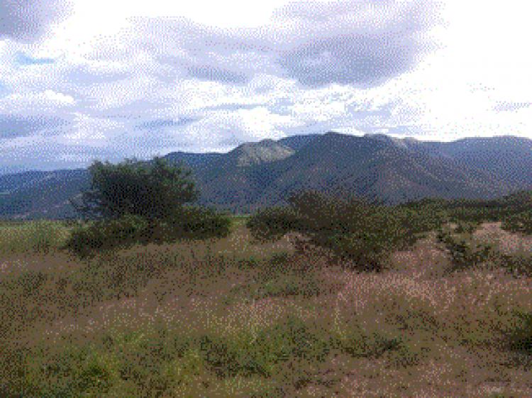 Foto Terreno en Venta en Catamayo, Loja - 2 hectareas - U$D 243.742 - TEV26691 - BienesOnLine