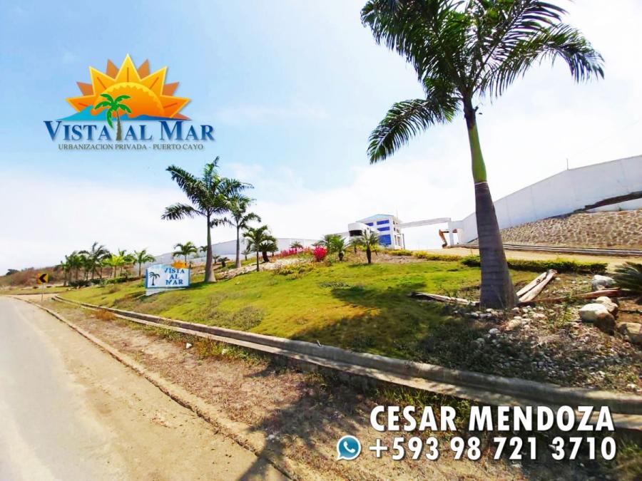 Foto Terreno en Venta en Pile, Jipijapa, Manabi - 170 hectareas - U$D 10.165 - TEV28276 - BienesOnLine