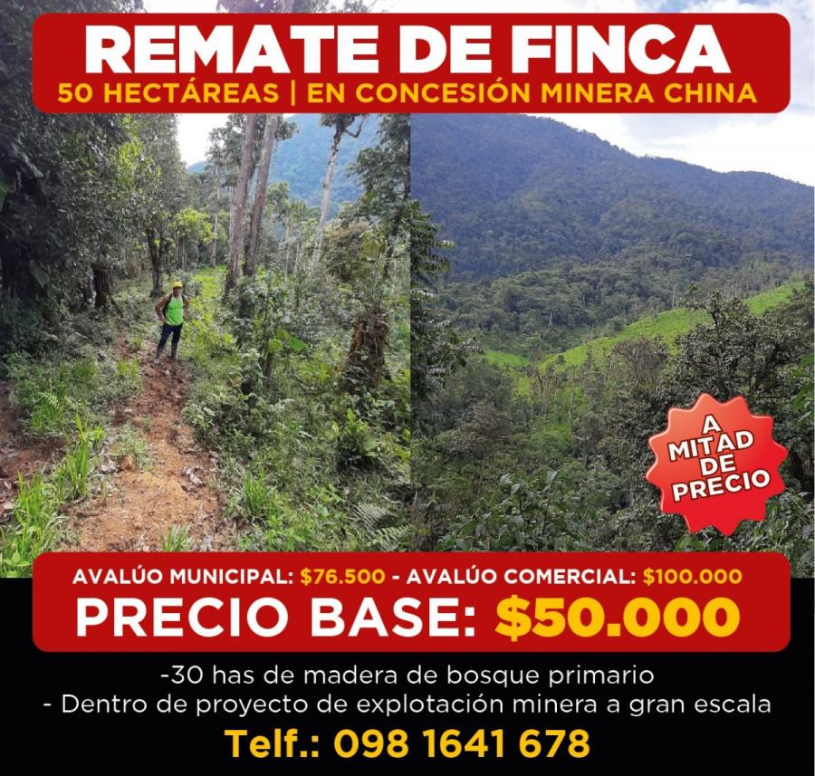 Foto Finca en Venta en La Canela, La Canela, sector Sol Naciente, Zamora Chinchipe - 47 hectareas - U$D 50.000 - FIV33493 - BienesOnLine